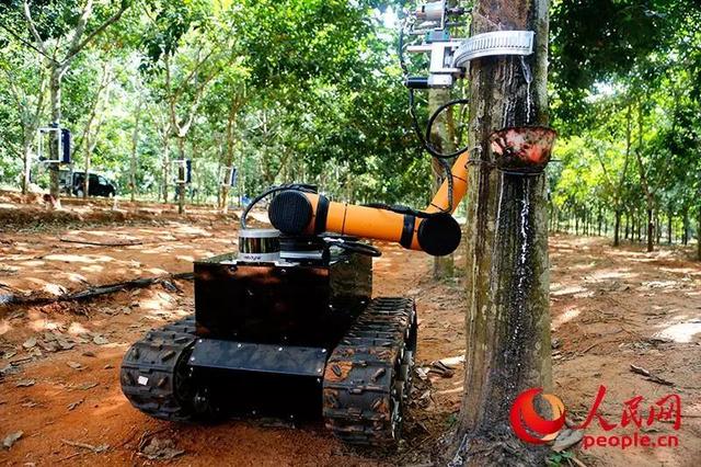 借助人工智能 美国研究团队可以更快生产橡胶类材料借助人工智能 美国研究团队可以更快生产橡胶类材料