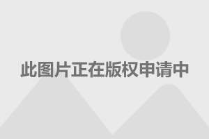 成都飞驰限时优惠 目前279万元起售