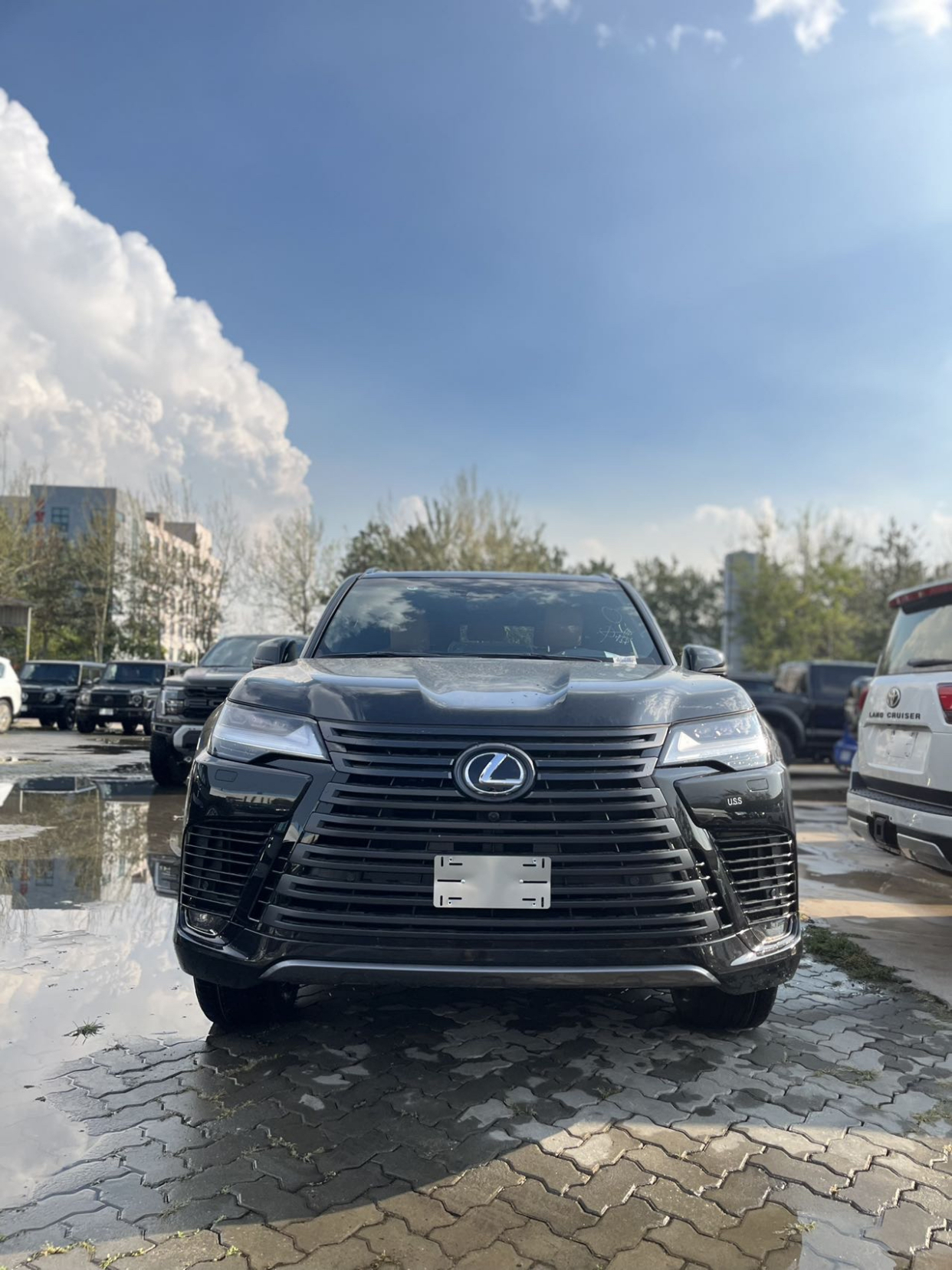 现购雷克萨斯LX欧规版享20万优惠 欢迎试乘试驾
