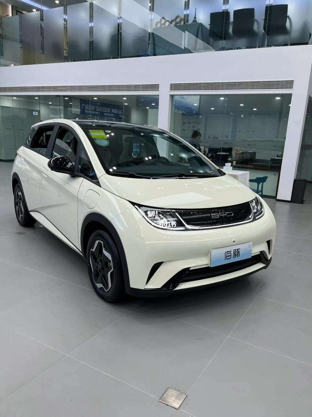 成都新海豚EV降价促销 购车最高优惠0.10万