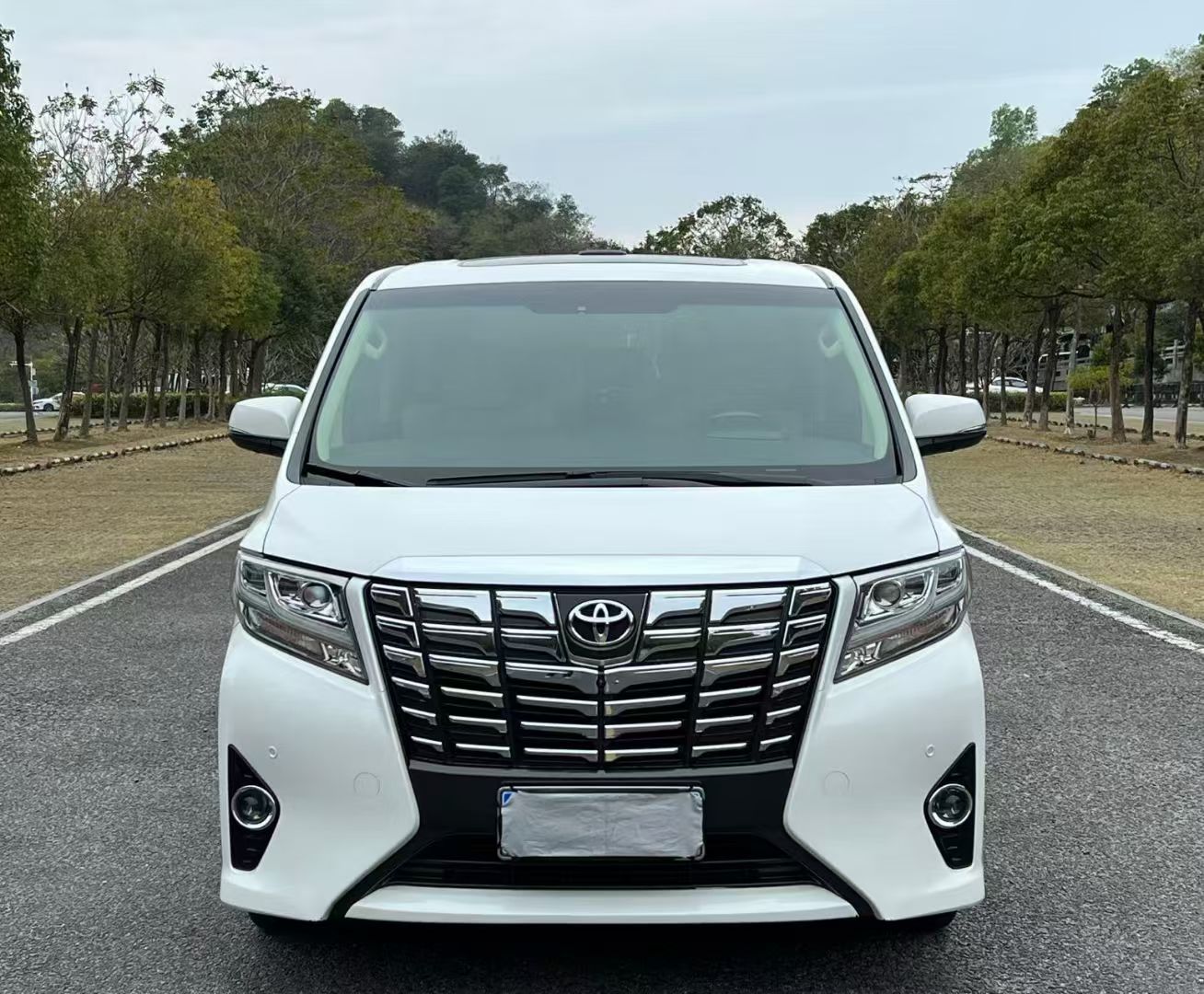 进口埃尔法商务车优惠详情