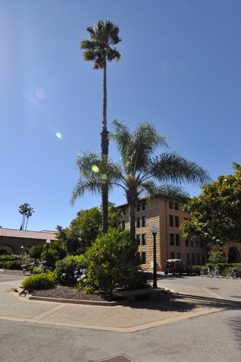 宾夕法尼亚州立大学利用路灯作为充电器 为电动汽车照亮道路宾夕法尼亚州立大学利用路灯作为充电器 为电动汽车照亮道路