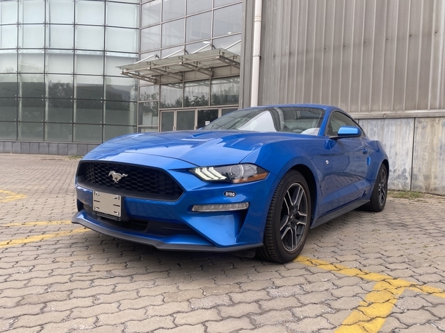 成都野马加版团购优惠17万