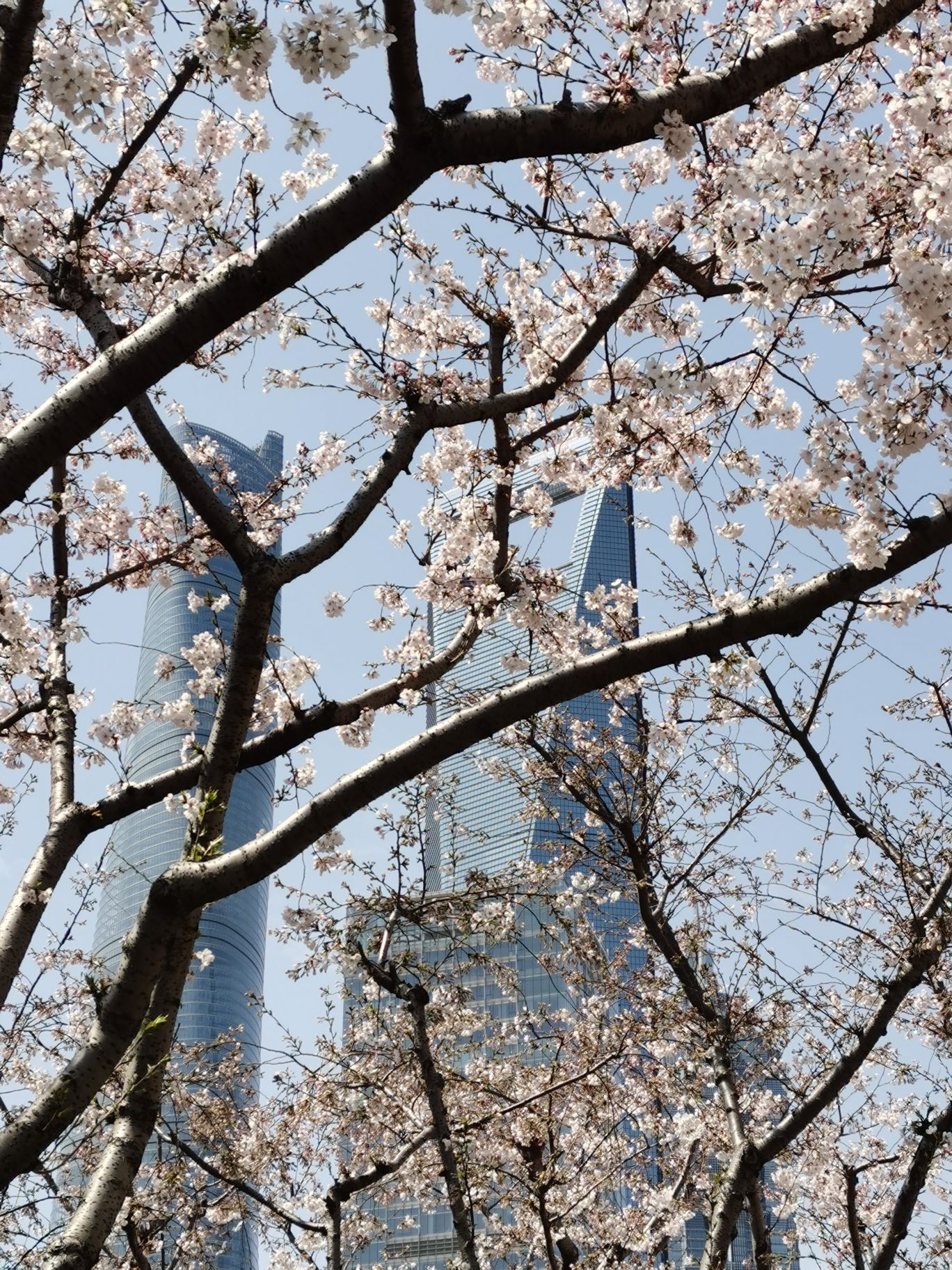 2024世极最新行情 仅售198万起