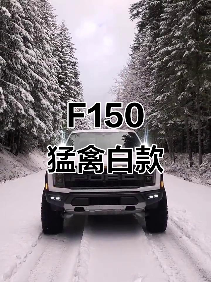 成都猛禽F150最低72.08万起售 暂无优惠